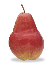 紅八特利西洋梨/Red Bartlett pear