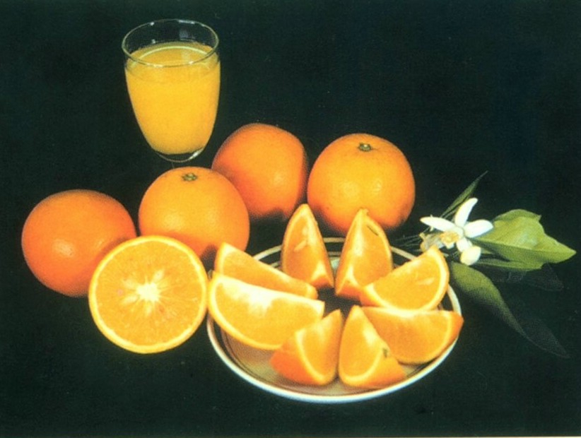 柳丁/柳橙