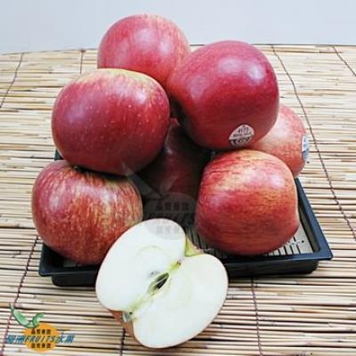 紐西蘭加拉蘋果(40-45粒隨機出貨)