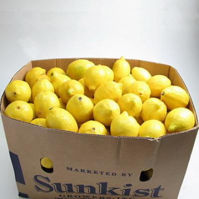 美國進口黃檸檬28斤