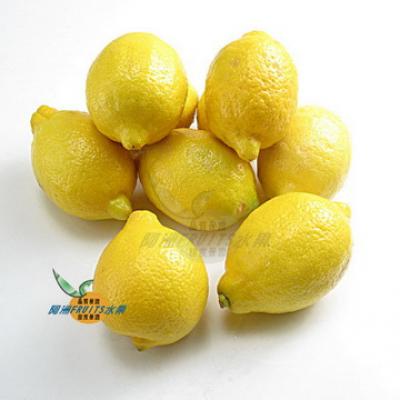 台灣產黃檸檬30斤