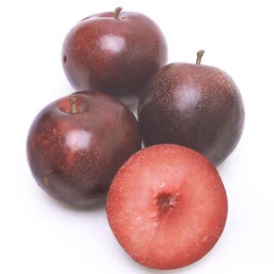 Black Cherry Plumcot