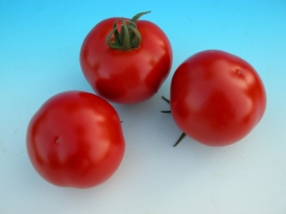 紅慧/牛番茄