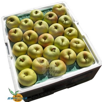 日本TOKI(土岐)蘋果(40-46粒隨機出貨)
