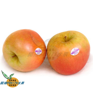 美國青龍蘋果(40-44粒隨機出貨)