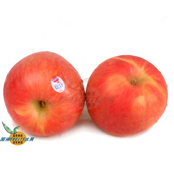 美國高山蜜富士蘋果(32-36粒隨機出貨)