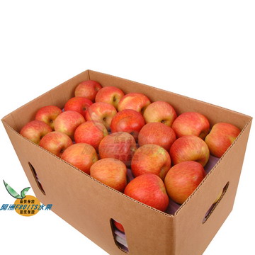 智利青龍蘋果(88-100粒隨機出貨)