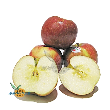 紐西蘭富士蘋果(45-50粒)隨機出貨
