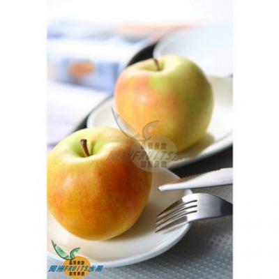 日本TOKI(土岐)蘋果(20-23粒隨機出貨)