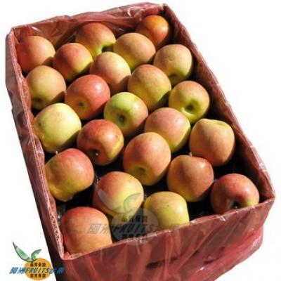 南非蜜蘋果(90-100粒隨機出貨)