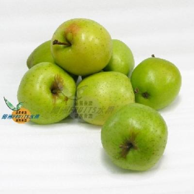 美國青龍(台灣品種)蘋果(50-63粒隨機出貨)