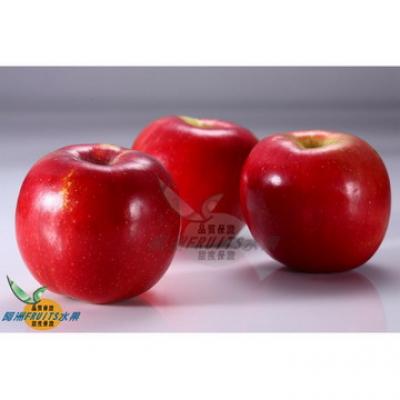 美國高山蜜富士蘋果(40-44粒隨機出貨)
