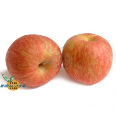 智利青龍蘋果(44-50粒隨機出貨)