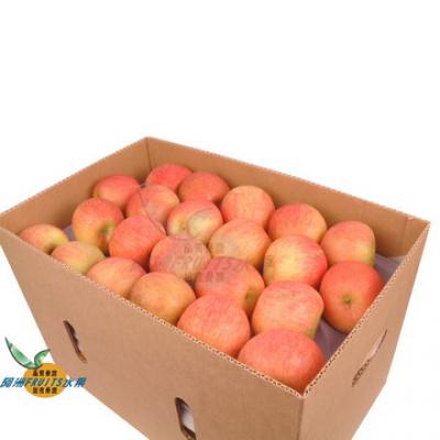 智利套袋富士蘋果(88-100粒隨機出貨)