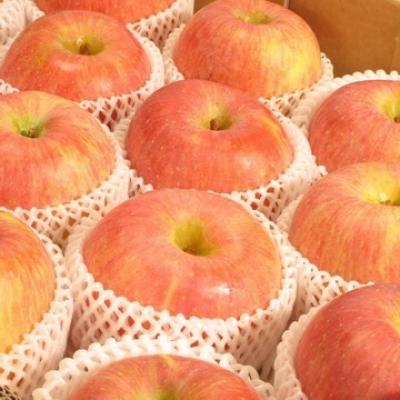 韓國套袋富士蘋果(18-21粒)隨機出貨