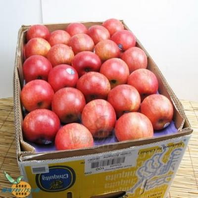 紐西蘭加拉蘋果(80-90粒隨機出貨)