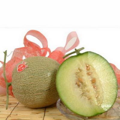 網紋綠肉哈密瓜(洋香瓜)(18斤)