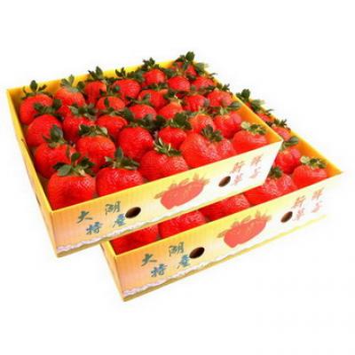 大湖網室草莓(特號)(約2.5台斤)