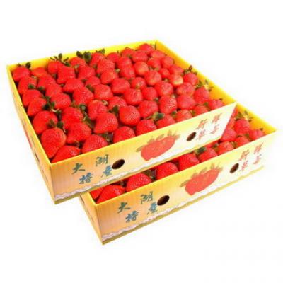 大湖網室牛奶草莓(1號)(4盒)