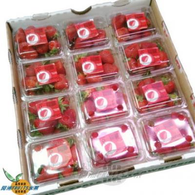 紐西蘭草莓(12小盒)