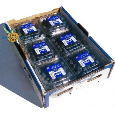 進口新鮮藍莓(12小盒)