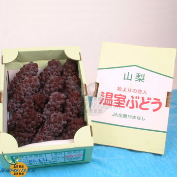 日本山梨溫室珍珠葡萄(2kg)