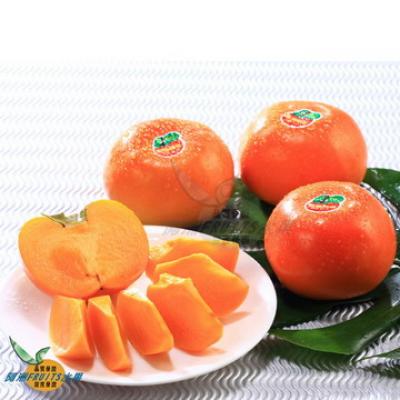 嚴選摩天嶺甜柿(11A)(20斤)