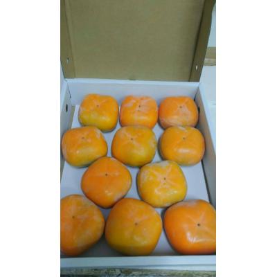 日本和歌山大玉柿4kg(11-12粒隨機出貨)