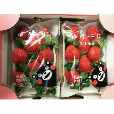 日本草莓(600g)1盒 (熊本,福岡隨機出貨)