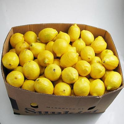 美國進口黃檸檬(不挑)28斤