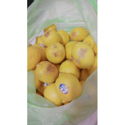 美國進口黃檸檬(不挑)28斤