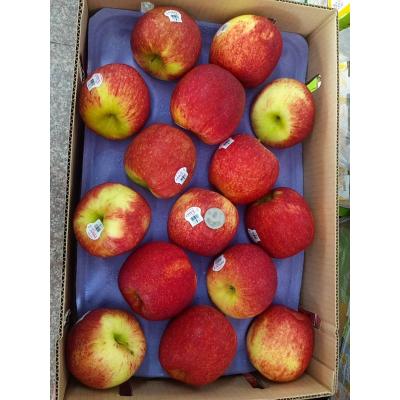 紐西蘭愛妃蘋果(15-17粒隨機出貨)