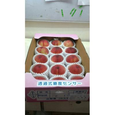 日本山梨大糖領水蜜桃(13-15粒隨機出貨)5kg