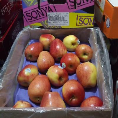 紐西蘭索尼婭蘋果(60粒)