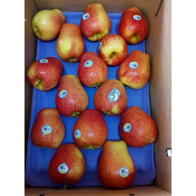 紐西蘭索尼婭蘋果(30粒)