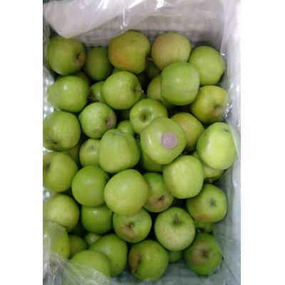 台灣青龍蘋果(5斤)