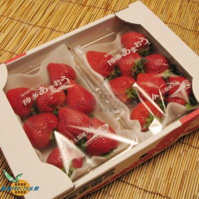 日本草莓(600g)1盒 (熊本,福岡隨機出貨)
