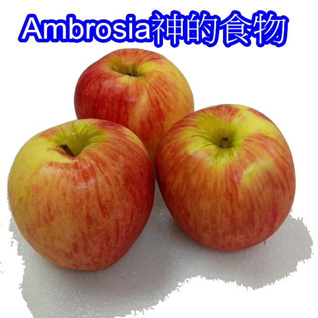 智利Ambrosia神的食物蘋果(80-100粒隨機出貨)