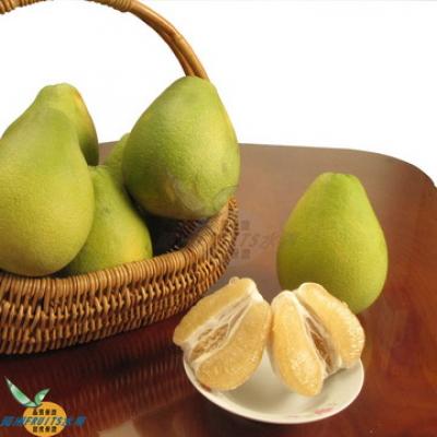 麻豆40年精品老欉文旦(9斤)