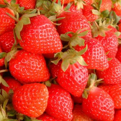 大湖網室草莓(1號)(約2.5台斤)